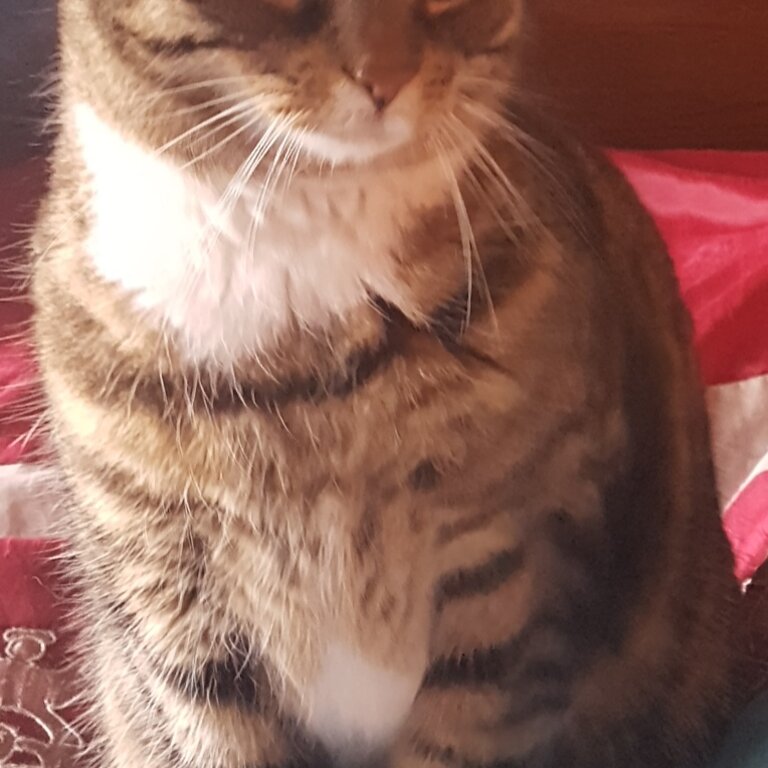 Pretty Layla is looking for a new home