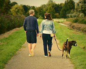 Dog Walking New Zealand