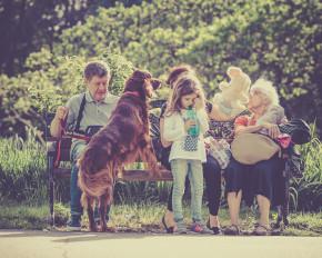 Pet Sitting New Zealand